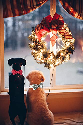 Elegant Little Tail Christmas Dog Collar,Puppy Collar, Male Or Female Dog Collar With Bow Adjustable Soft Bow Tie Dog Collars For X-Small Dogs