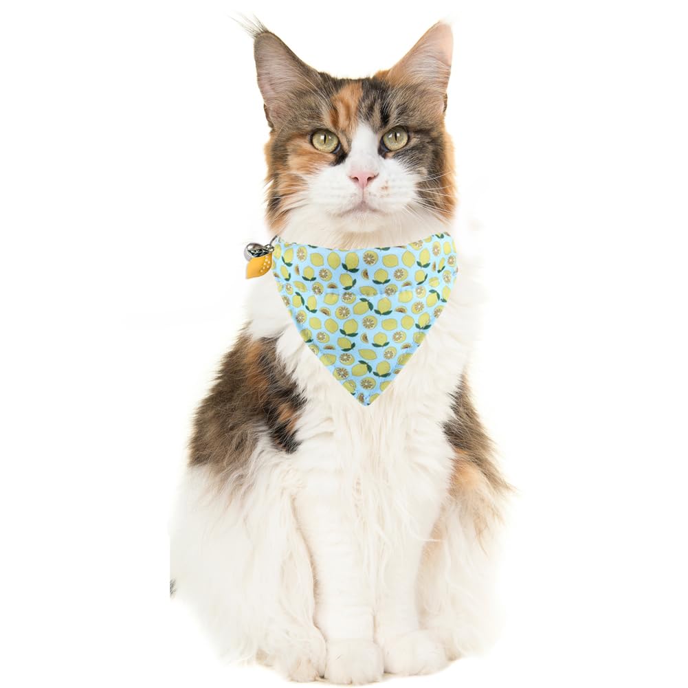 Cat Collar Breakaway With Cute Bandana And Bell Fruits Accessories For Kitty Adjustable Safety