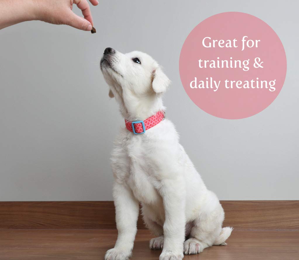 (3 Pack) Exclusively Dog Cheese Flavor Chewy Training Treats - 7oz Pouches