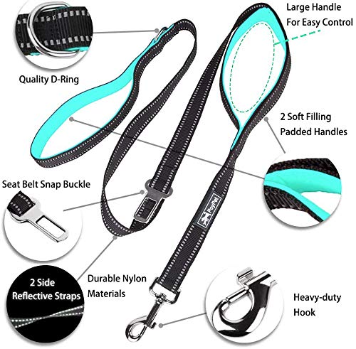 Poypet 5 Feet Dog Leash - 3M Reflective - 2 Cushioned Handles - Functional Car Seat Belt(Mint Blue)