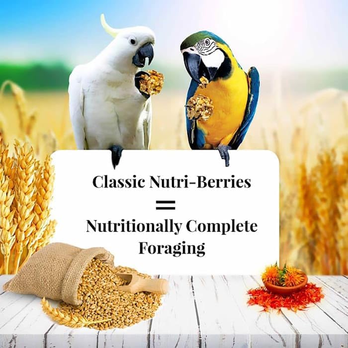 Lafebers Classic Nutri-Berries for Macaw / Cockatoo 3.5 lb. Tub