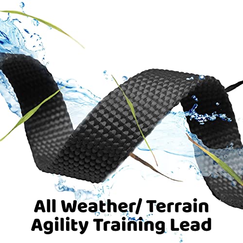 Downtown Pet Supply - Long Dog Leash - Dog Training Leash - Recall & Obedience Dog Training Tools - Nylon - 30 Ft - Black Dog Leash