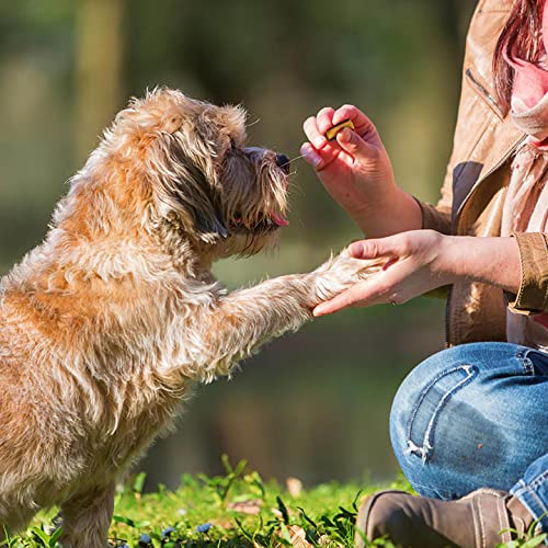 Good'n'Fun Triple Flavor Roll Ups 4 Oz - Cheese, Beef, Pork Treats for Dogs