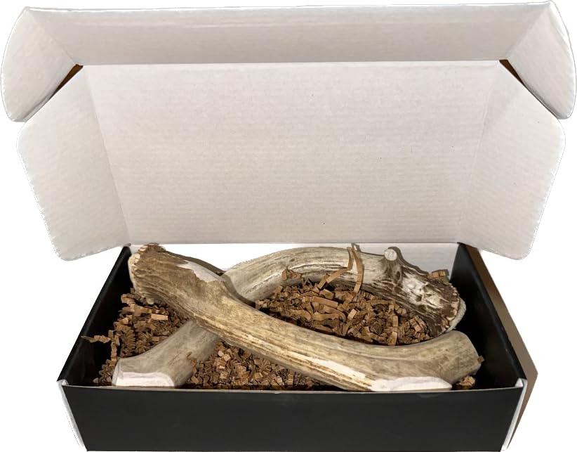 The Antler Box Premium Deer Antler Dog Chews (1 Lb Bulk Pack) (X-Large (2 Antlers)