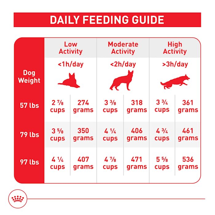 Royal Canin Size Health Nutrition Large Adult Dry Dog Food, 17 lb Bag