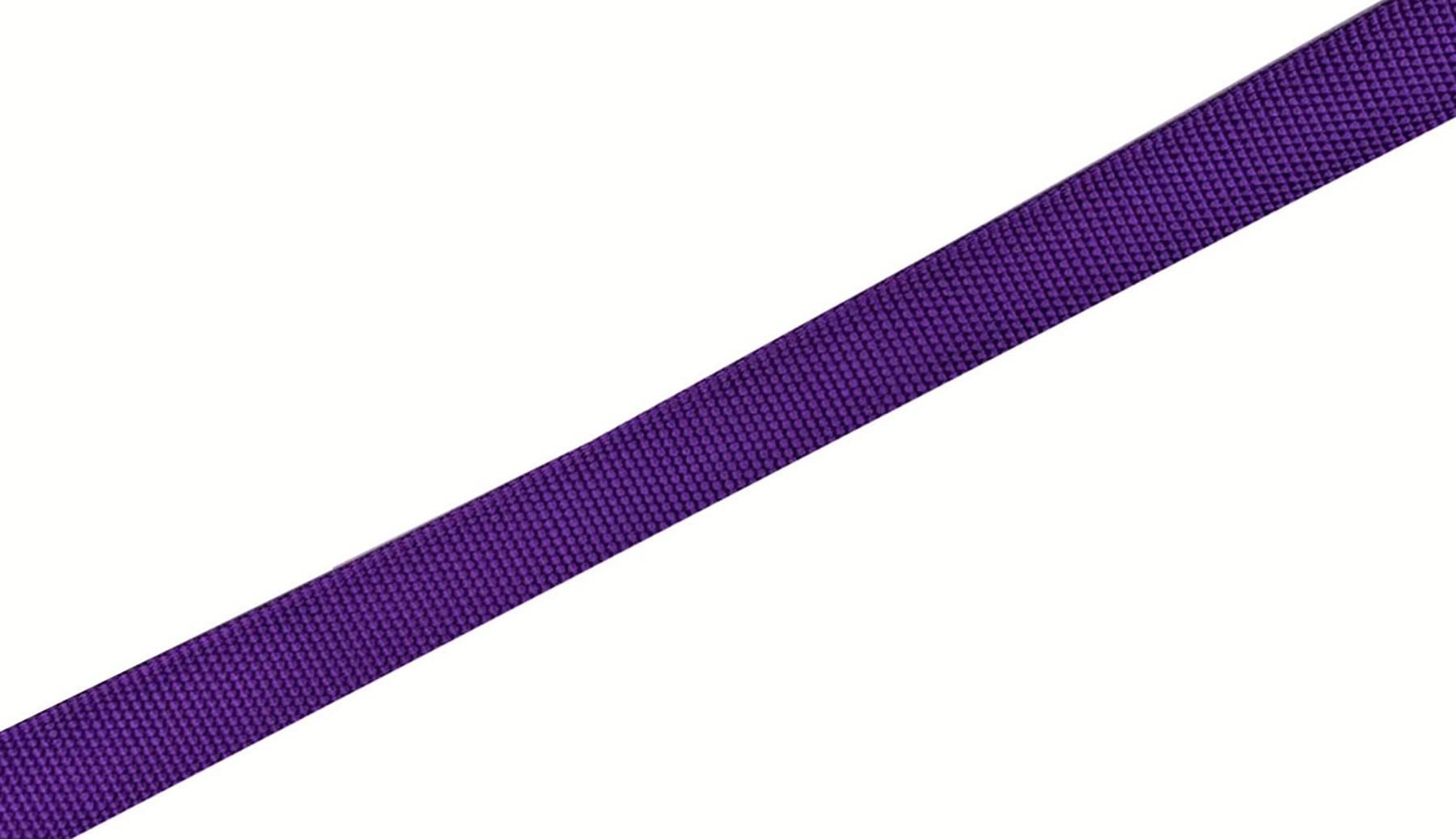 Nylon Dog Leash 4 Ft 5 Feet 6 Foot Long, Walking Training Dog Leashes For Medium Large Dogs, 1 Inch Wide (3/4'' X 6 Ft, Purple)