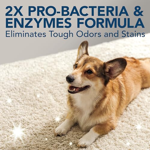 Simple Solution Stain And Odor Eliminator Spray For Dogs & Cats, Enzyme Cleaner With 2X Pro-Bacteria Cleaning Power, Strong Smell Remover For Carpets, Upholstery & Floors, 1 Gallon