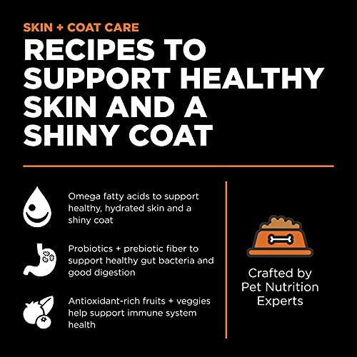 Go! Solutions Skin + Coat Care, Dry Dog Food, Salmon Recipe with Grains, 12 lb Bag