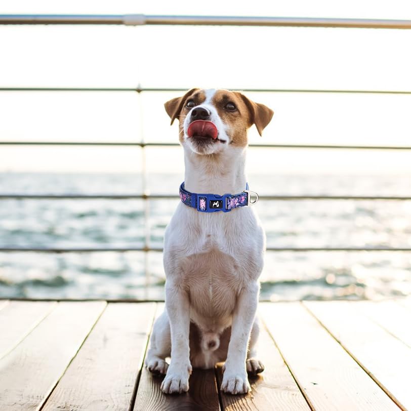 Reflective Dog Collar For Medium, Large & Extra Large Dogs - Adjustable Floral Design Stylish Gift Pet Collars For Walking, Runn