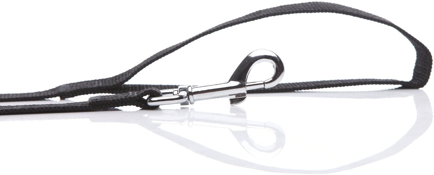 Nylon Dog Leash 4 Ft 5 Feet 6 Foot Long, Walking Training Dog Leashes For Medium Large Dogs, 1 Inch Wide (3/4'' X 6 Ft, Black)