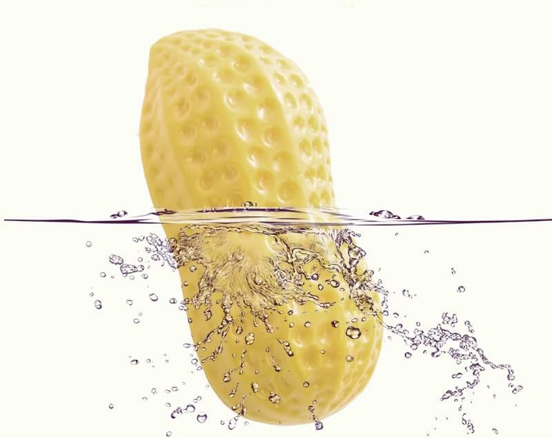 Dog Trust Squeaky Rubber Peanut Dog Toy, Puppy Chew Toy For Teething, Dog Stuff, Dog Toy For Small Togs, Dog Chew Toy, Puppy Tee