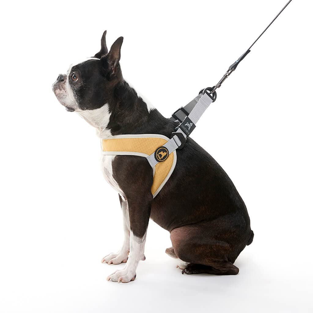 Gooby Simple Step In Iii Harness - Yellow, Medium - Small Dog Harness With Scratch Resistant Outer Vest - Soft Inner Mesh Harnes