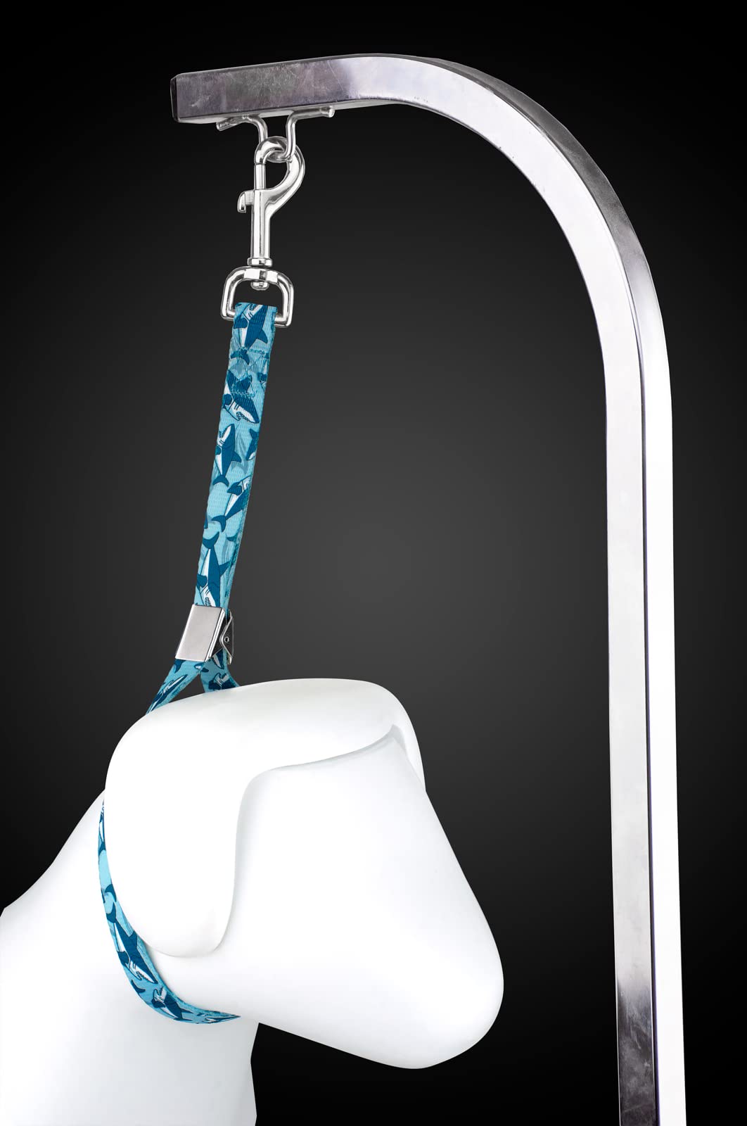 Country Brook Petz Dog & Pet 5/8 Inch Grooming Loop With Spring Loaded Clip - 18 Unique Designs For Grooming And Vet Tables (Sha