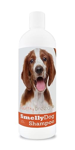 Healthy Breeds Welsh Springer Spaniel Smelly Dog Baking Soda Shampoo 8 Oz