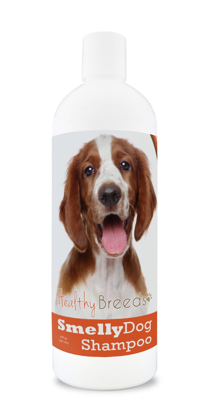 Healthy Breeds Welsh Springer Spaniel Smelly Dog Baking Soda Shampoo 8 Oz