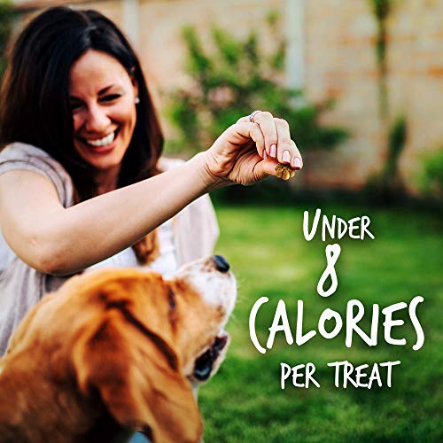 Fruitables Baked Dog Treats - Healthy Low Calorie - Free of Wheat, Corn and Soy - Pumpkin and Banana - 12 Ounces