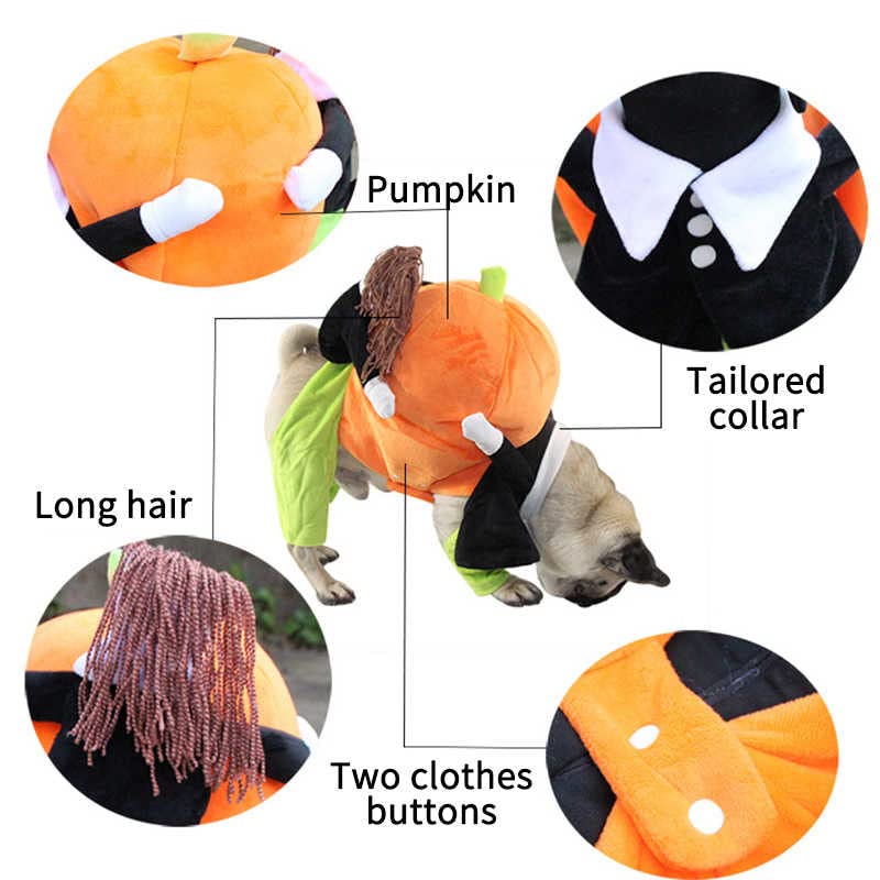 Pet Life 'Pumpkin Mon' Halloween Pet Dog Costume(D0102HAXPLG.)