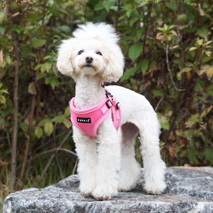 Puppia Para-Hc1533-Pk-L Pink Soft Harness C Pet-Vest-Harnesses, Large