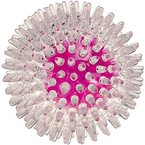 D&C PAWS Dog Toy Large Size Spike Ball Chew Toy (Ball Inside Ball) with Solid Squeky Sound Good for Large Size Breed Dogs and Me