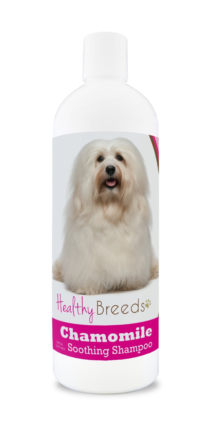 Healthy Breeds Havanese Chamomile Soothing Dog Shampoo 8 oz