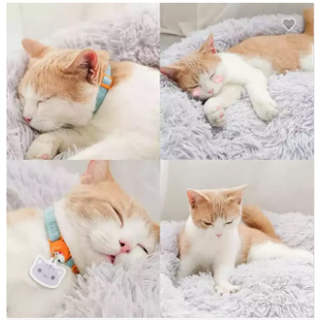 Nisrada Cat Beds For Indoor Cats,15.7 Inch Dog Bed For Small Melium Large Dogs, Washable-Round Pet Bed For Puppy And Kitten With Slip-Resistant Bottom