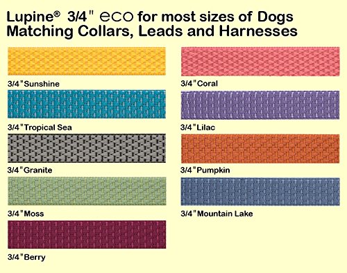 Lupinepet Eco 3/4' Lilac 13-22' Adjustable Collar For Medium And Larger Dogs