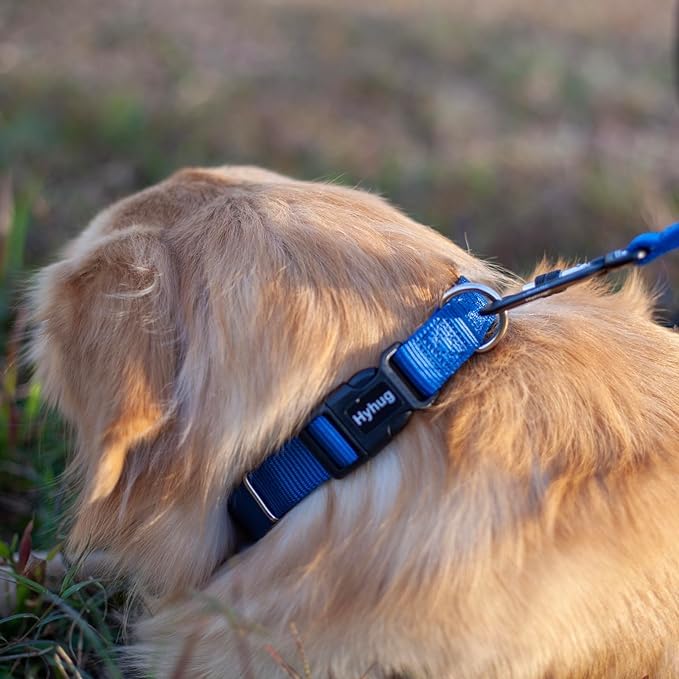 Hyhug Pets Solid Color Classic Regular Heavy Duty Basic Collar Medium Breeds Dogs, Unique Design Adjustment Triglide Slide (Buck