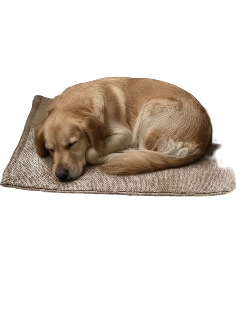 Skyline Enterprises Used Jute Gunny Bags for Pets Dog Cat Lying Sack | Natural Jute Mat for Pet Resting Sleeping Area | Pack of 