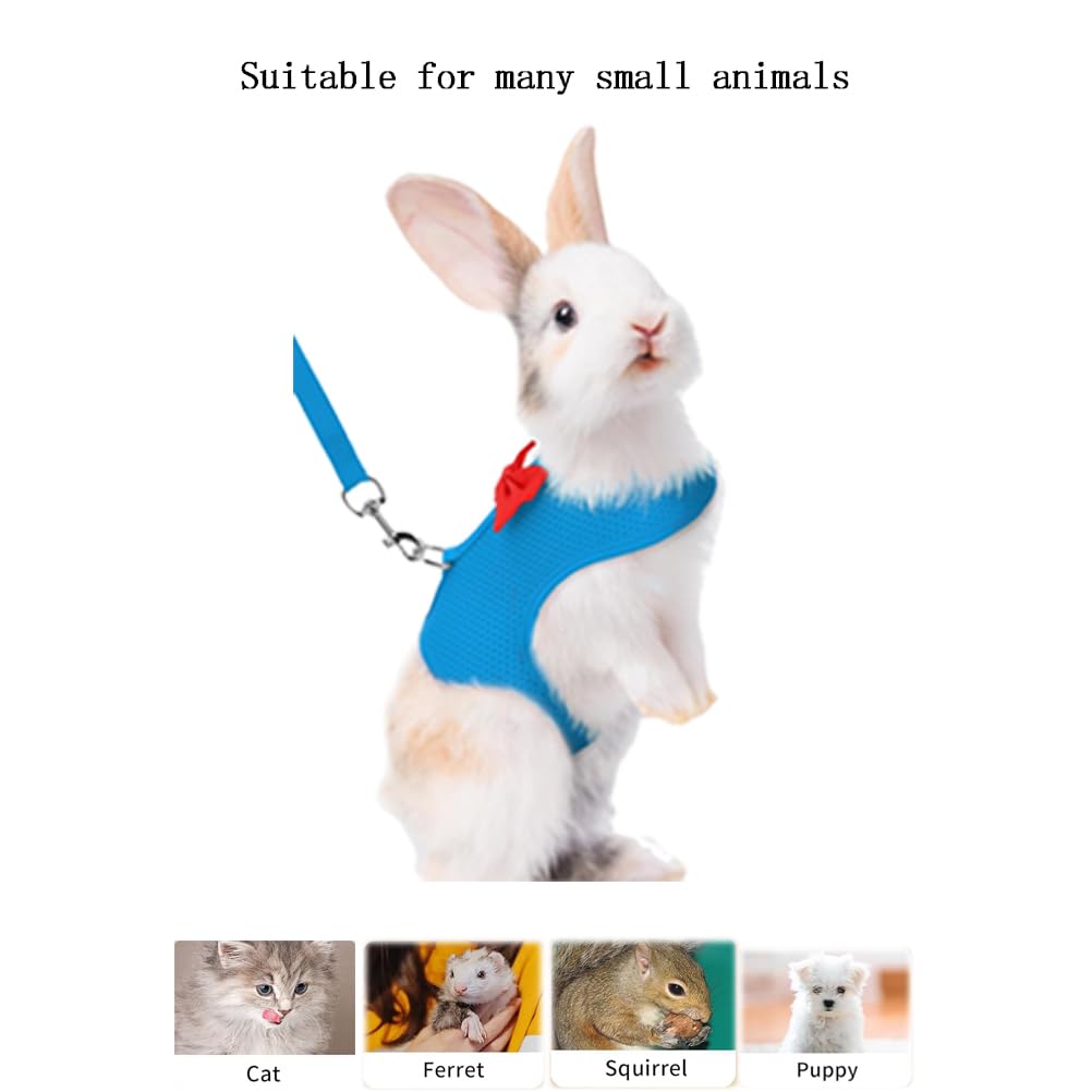 Rabbit Harness And Leash Set For Walking Escape Proof, Mesh Breathable Adjustable Rabbit Leash Camping Hiking Training Blue M (C