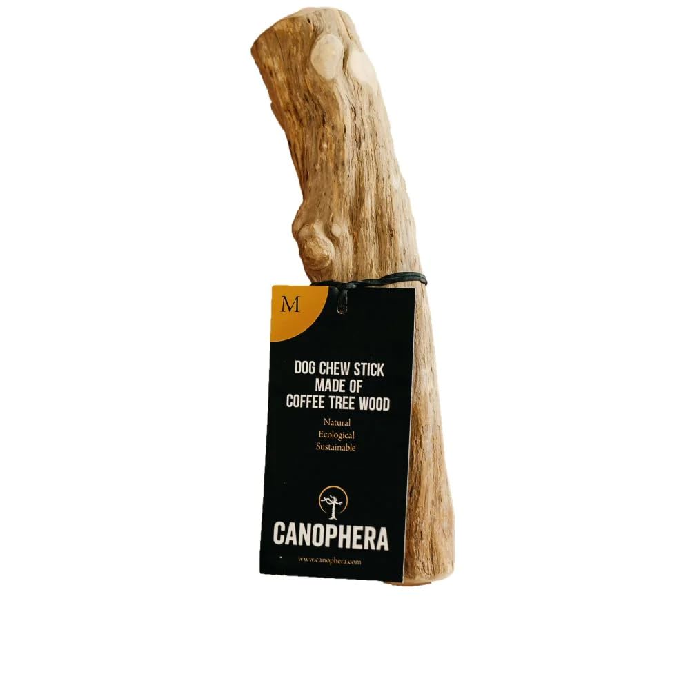 Canophera Coffee Wood Dog Chew Sticks For Regular Chewers - Size Medium