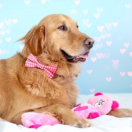 Zippypaws Jigglerz Plush Dog Toy With Squeaker, Stuffed Toy For Tough Play, Pink Bear