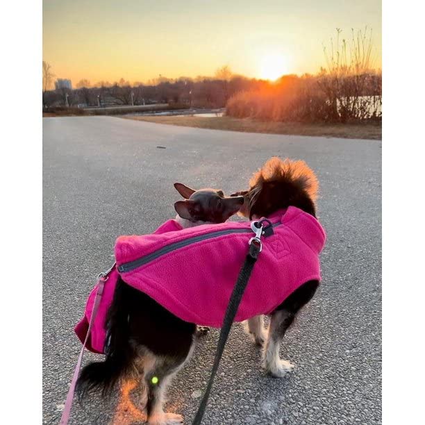 Gooby Zip Up Fleece Dog Sweater - Pink, X-Large - Warm Pullover Fleece Step-In Dog Jacket With Dual D Ring Leash - Winter Small