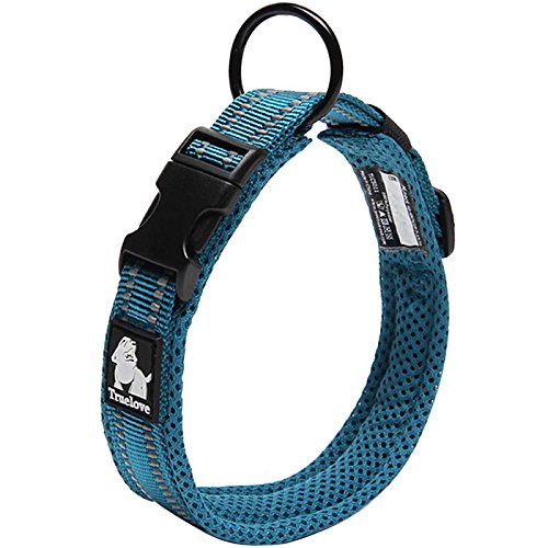 Creation Core Reflective Nylon Dog Collar And Training Leash Set For All Season Padded Durable Adjustable, Blue Xl