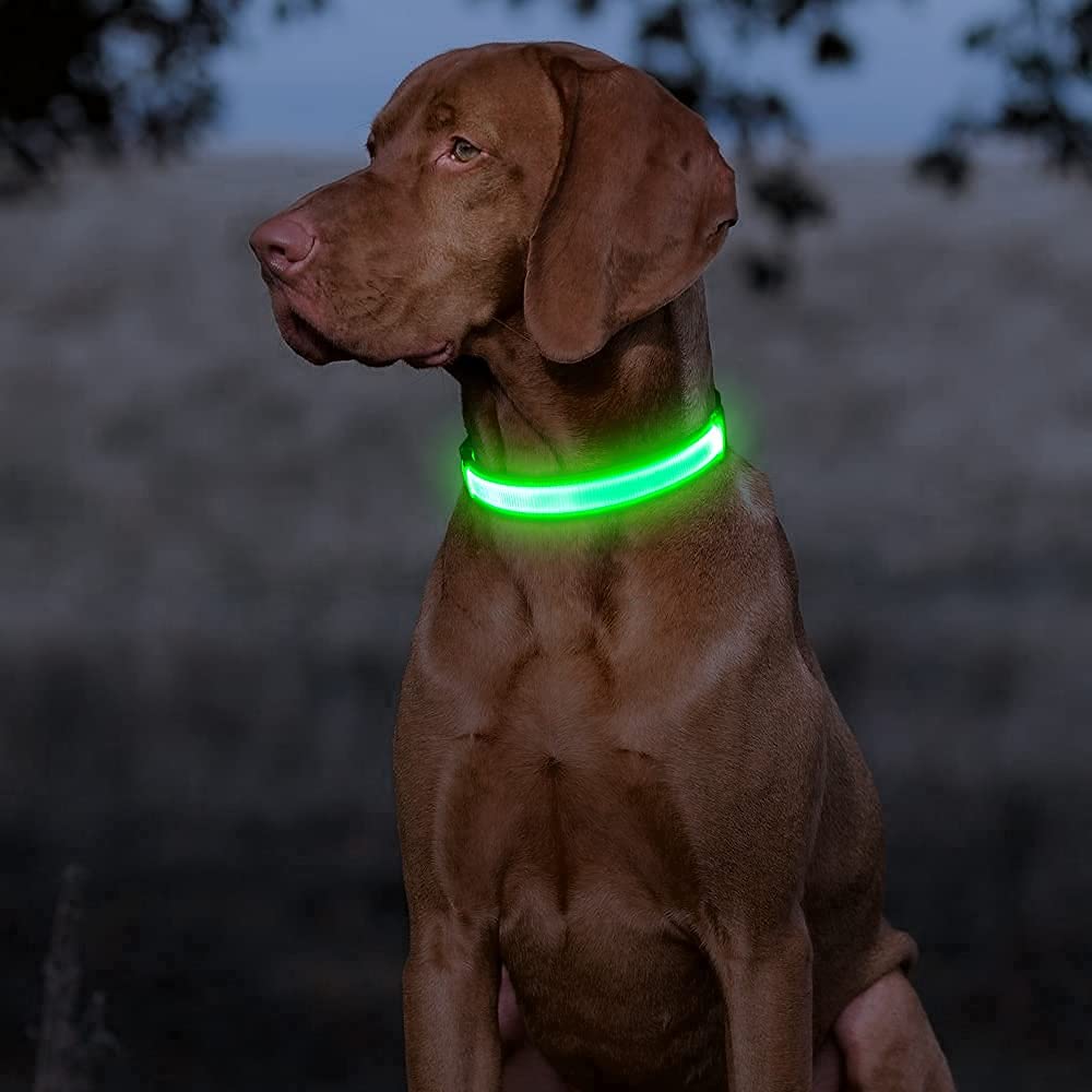 BSEEN LED Dog Collar - Rechargeable, Adjustable, Reflective, Large, Neon Green