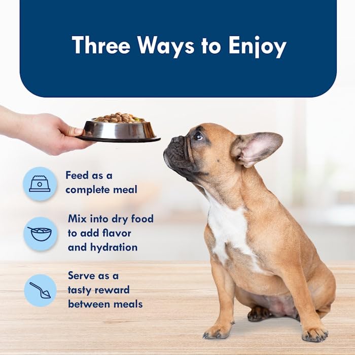 Blue Buffalo Delights Rotisserie Chicken Flavor in Gravy Small Breed Natural Wet Dog Food, 3.5 oz., Case of 12