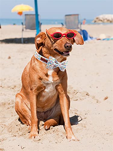 Unique Style Paws Rainbow Colorful Dog Collar With Bow Pet Gift Adjustable Soft And Comfy Bowtie Collars For Small Medium Large