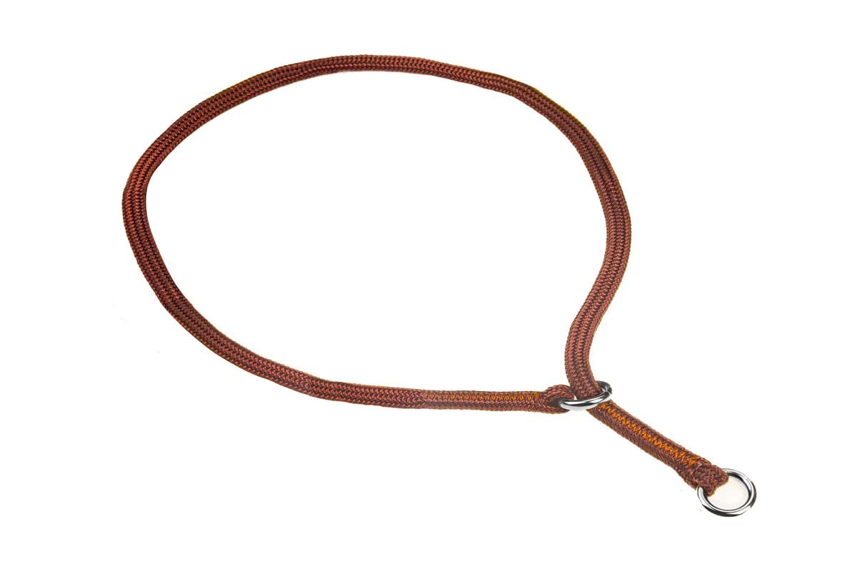 Show Slip Collar - Conformation Dog Collar - Flat Braided Premium Nylon - Chrome Plated Hardware Rings - Perfect for Small Pups 