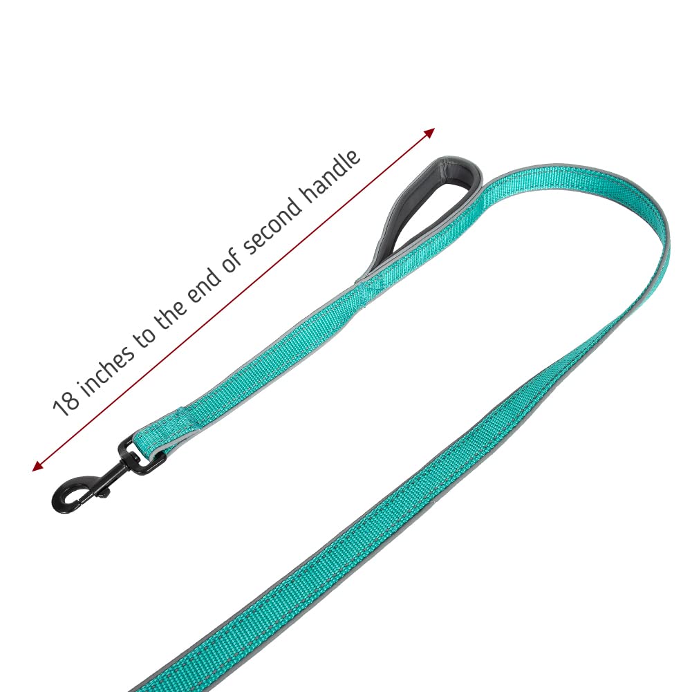 Leashboss Double Handle Dog Leash, 6 Ft Reflective Dog Leash With Two Padded Handles For Large Dogs Or Medium Dogs That Pull (Aqua)