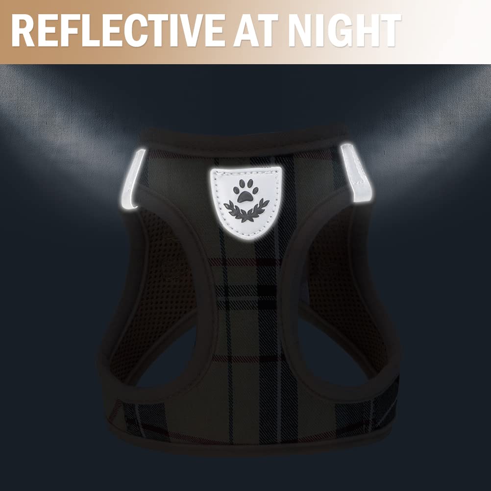 Pupteck Adjustable Pet Harness Collar And Leash Set Step In For Small Dogs Puppy And Cats Outdoor Training And Running, Soft Mesh Padded Reflective Vest Harness