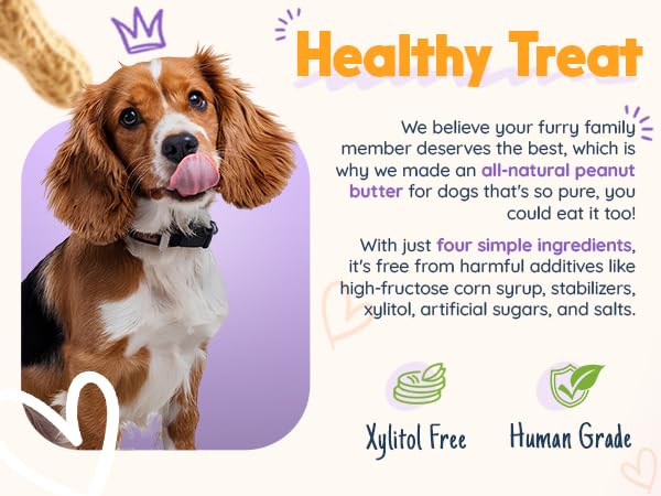 BUDDY BUDDER 3 Pack Pumpkin Pup Squeeze Packs, 100% Natural Dog Peanut Butter, Healthy Peanut Butter Dog Treats, Made in USA, (4