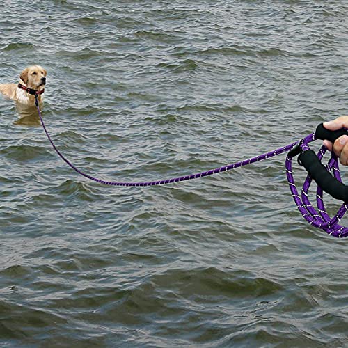 Plutus Pet Long Rope Dog Leash, With Comfortable Padded Handle, Reflective Nylon Heavy Duty Rope Leash, 15Ft 20Ft 30Ft 50Ft 66Ft Dog Training Leash For Small Medium Large Dogs (50Ft, Violet)