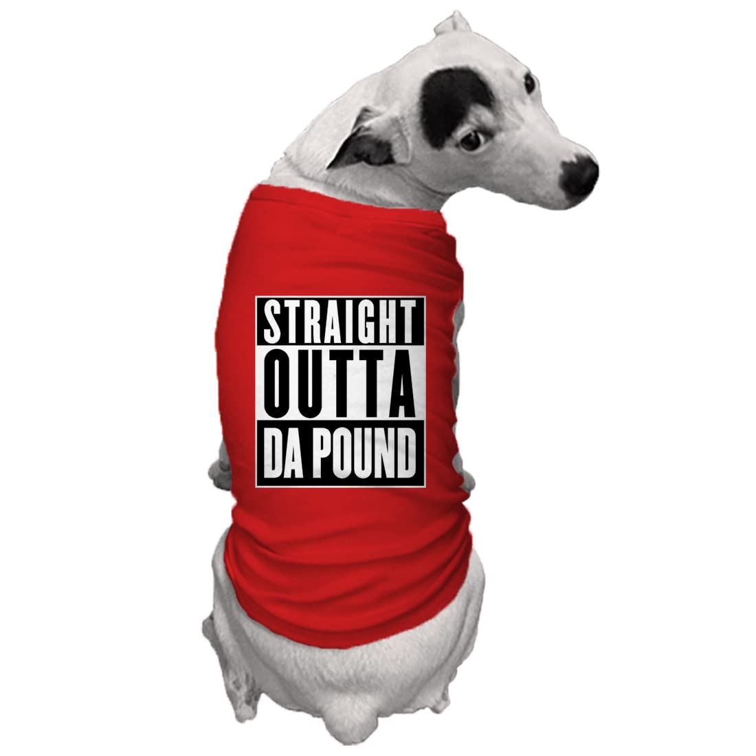 Straight Outta Da Pound - Rescue Dog Shirt (Red, X-Small)