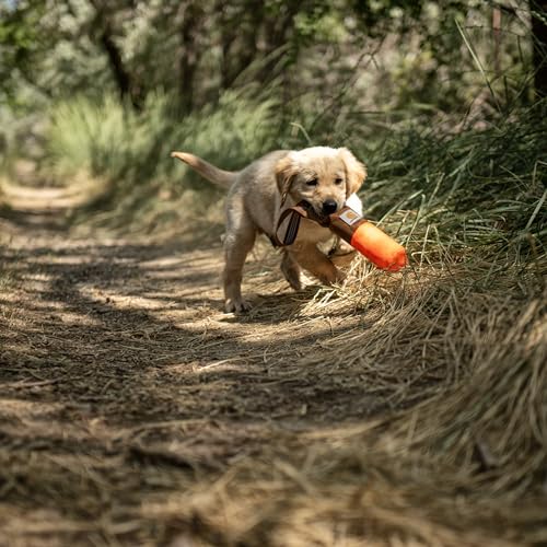 Carhartt Training Dog Retrieving Bumper, Hunter Orange, Small