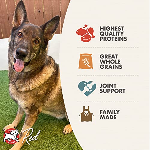 Fromm Reduced Activity Senior Gold Premium Dog Food - Senior Dry Dog Food for Medium & Small Breeds - Chicken Recipe - 15 lb