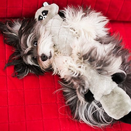 Zippypaws Jigglerz - Zippy Paws Dog Toy For Large And Small Dogs, Squeaky Plush Tug Toy With No Stuffing, Squeaky Interactive Dog Toys With Crinkle Head And Tail, Raccoon
