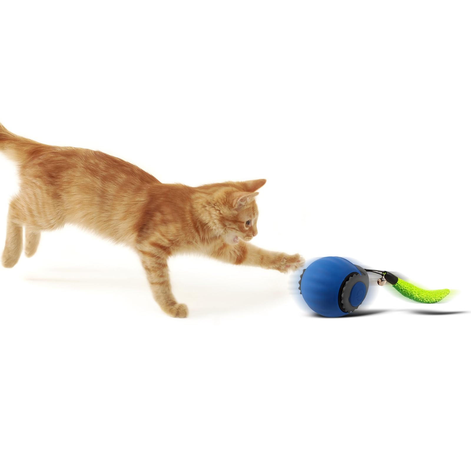 Found Notice Smart Speedy 3.0 Interactive Cat Ball With Auto Obstacle Avoidance - Indoor Kitten Toy For Mental Stimulation & Pla