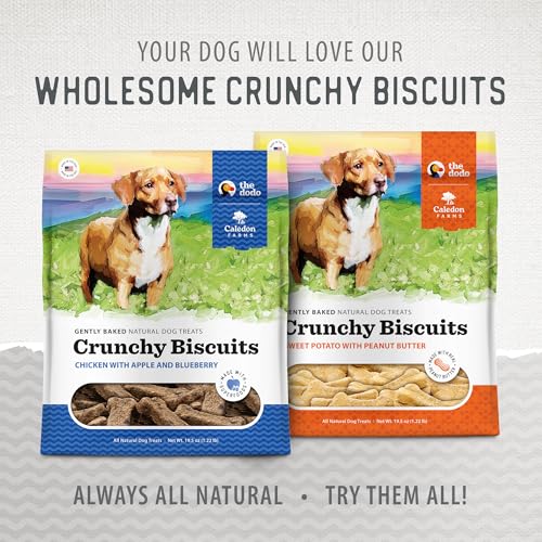 Caledon Farms The Dodo Crunchy Biscuits - Sweet Potato with Peanut Butter 19.5oz, Dog Treats