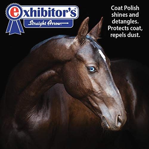 Exhibitor'S Quic Sheen 32 Ounce