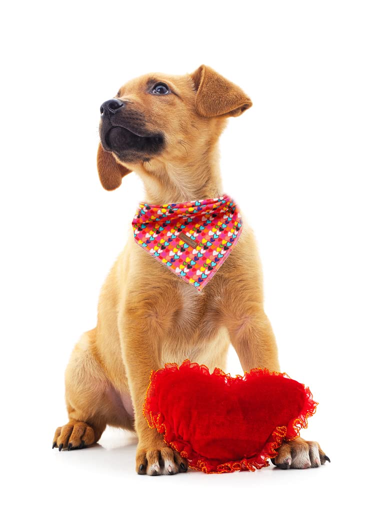 Lionheart Glory Valentine Dog Bandana 1 Pack Washable Soft Dog Scarf, Square Adjustable Dog Bandanas For Small Dogs And Cats