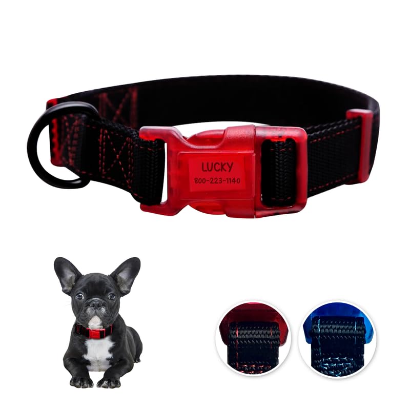 Sporn Dog Id Collar For Small Dogs, Black & Red Small Dog Collar Made Of Nylon With Contrasting Colored Stitiching, Dog Collars 
